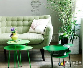 摆放植物：小心放置