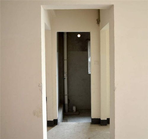 选购技巧：如何挑选合适的色块苗