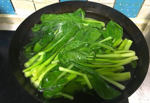 灰灰菜，营养丰富的野菜