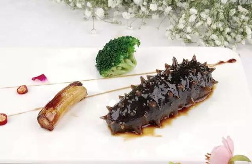 海参饵料每天喂多少克，如何投喂比例？