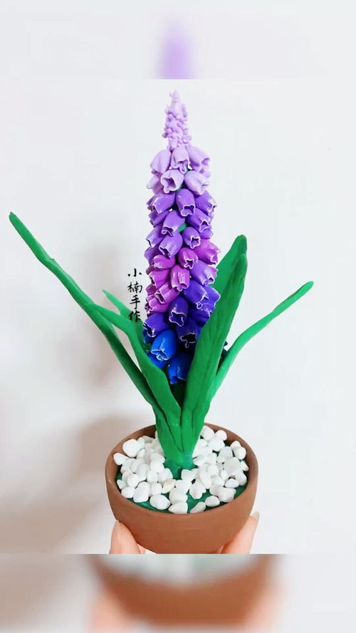 “请问这朵花的花语是什么背后有什么特别的故事吗