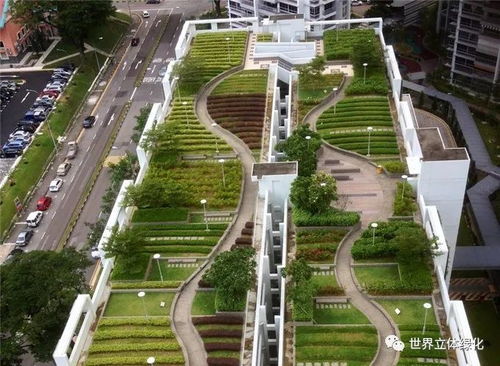 杭州立体绿化设计公司， 助力老旧小区焕新颜