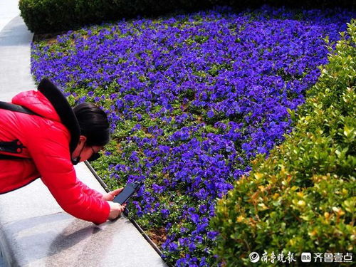 联系农业局， 了解本地种植