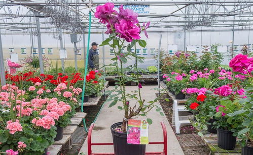 ran后 你得kankan苗情