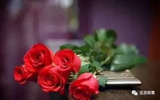 第五步：水培生根