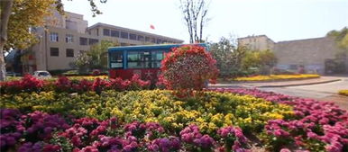 百花公园节省70%， 大众花卉烘托气氛