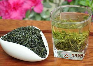 绿茶品种繁多，你知道常见的几种吗