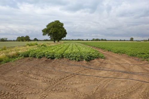 种地就像打游戏升级