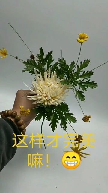 新生之花，你猜是哪一朵