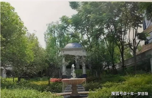 在院子东南角种什么树风水好？哪种树能带来好运