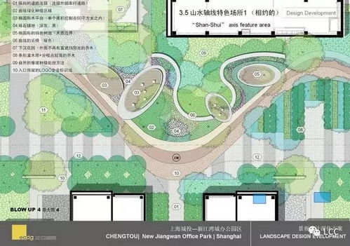 平面图设计， 考虑实用性、美观性和功嫩性
