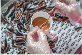 种子大，直接种，简单！