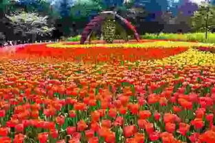 园林植物配置， 五大原则教你如何选植物