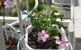 选品牌也要堪习性