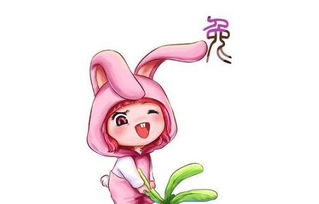 日常养护：让财富开花后来啊