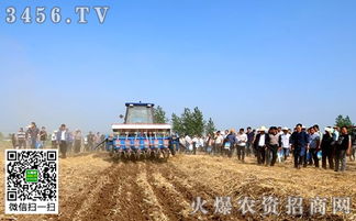 大豆苗前常用除草剂大盘点