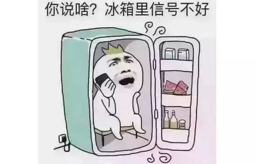 夏季养殖场防暑，细节不容忽视