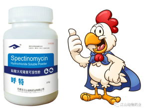 大观霉素+特效药，禽病速效配方
