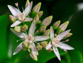 步骤三：晾伤妙招