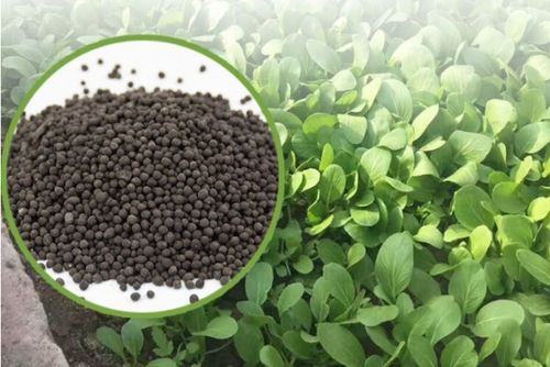 哪些植物体内含有矿石？这些植物如何吸收并储存矿石成分