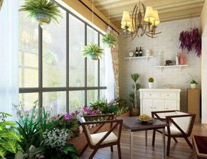 三、结缕草：懒人救星