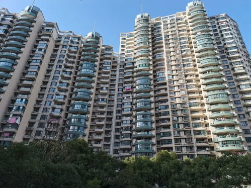 新城花园位于XX街道，具体地址是哪里呢