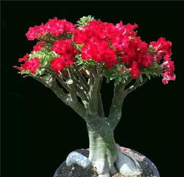 阳光充足，通风良好