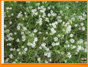 小技巧，大作用