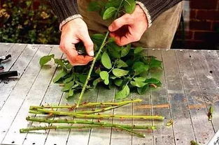 第五步：注意事项