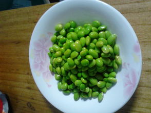 东北豆粕和毛豆、青豆有什么区别？豆粕是毛豆还是青豆加工而成？