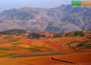 云南红土的魅力：那片神秘的土地