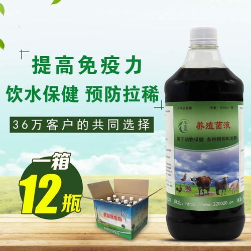 自制益生菌营养液，养殖效益翻倍新突破