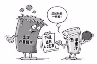 咯菌腈，土壤消毒的神秘武器