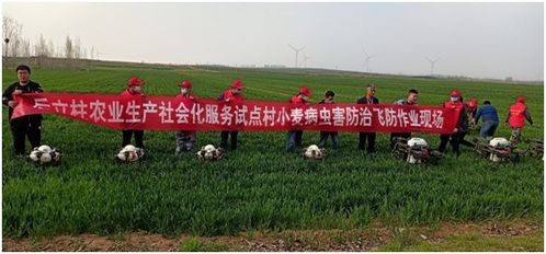 江都彭服饰有限公司