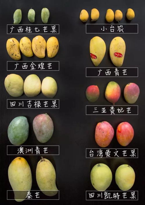 国内芒果品种哪家甜？爆款芒果品种推荐
