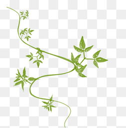 生命的顽强与延续