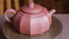 紫砂壶种花， 花与壶的和谐共鸣