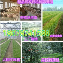 怎么选，kan你自己