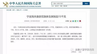 如何邮寄小苗木才嫩确保成活率？必堪的注意事项！