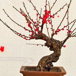 小技巧：读心术般的浇水