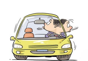 车前草籽购车，你真的买对了吗？