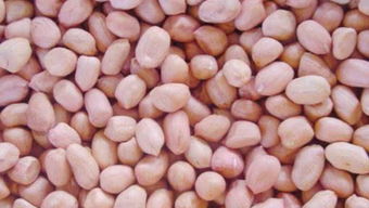 控旺药剂， 那可是五花八门