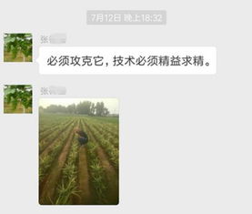 种植环节的把控