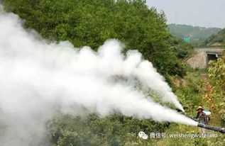 环境因子协同作用