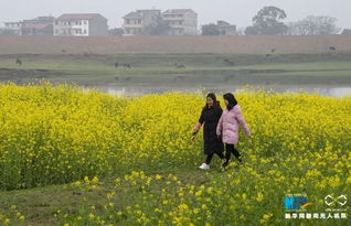 生态承载：守护家园， 你我同行
