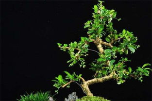 科学标准，你了解吗？