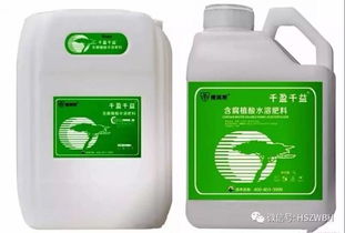 百菌清喷施阴天效果之谜