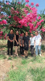 防治方法大盘点