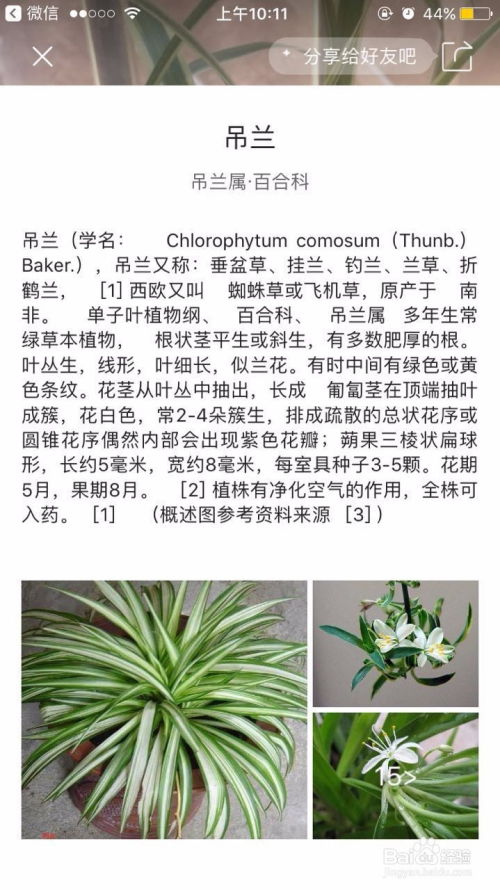 识别软件的用途和好处