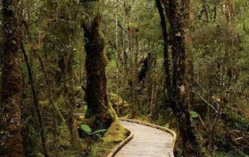 先说说我们要明白种草的目的